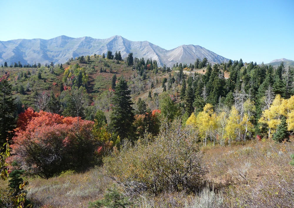 Earth's Seasons Change With Equinox Today